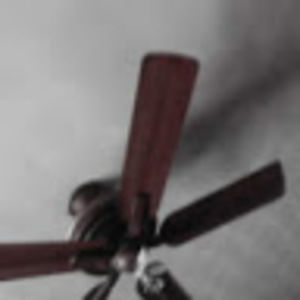 Meet your Posher, Kiara